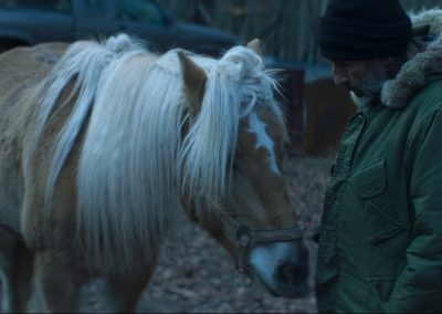 A horse at the edge of the forest in DIGGER